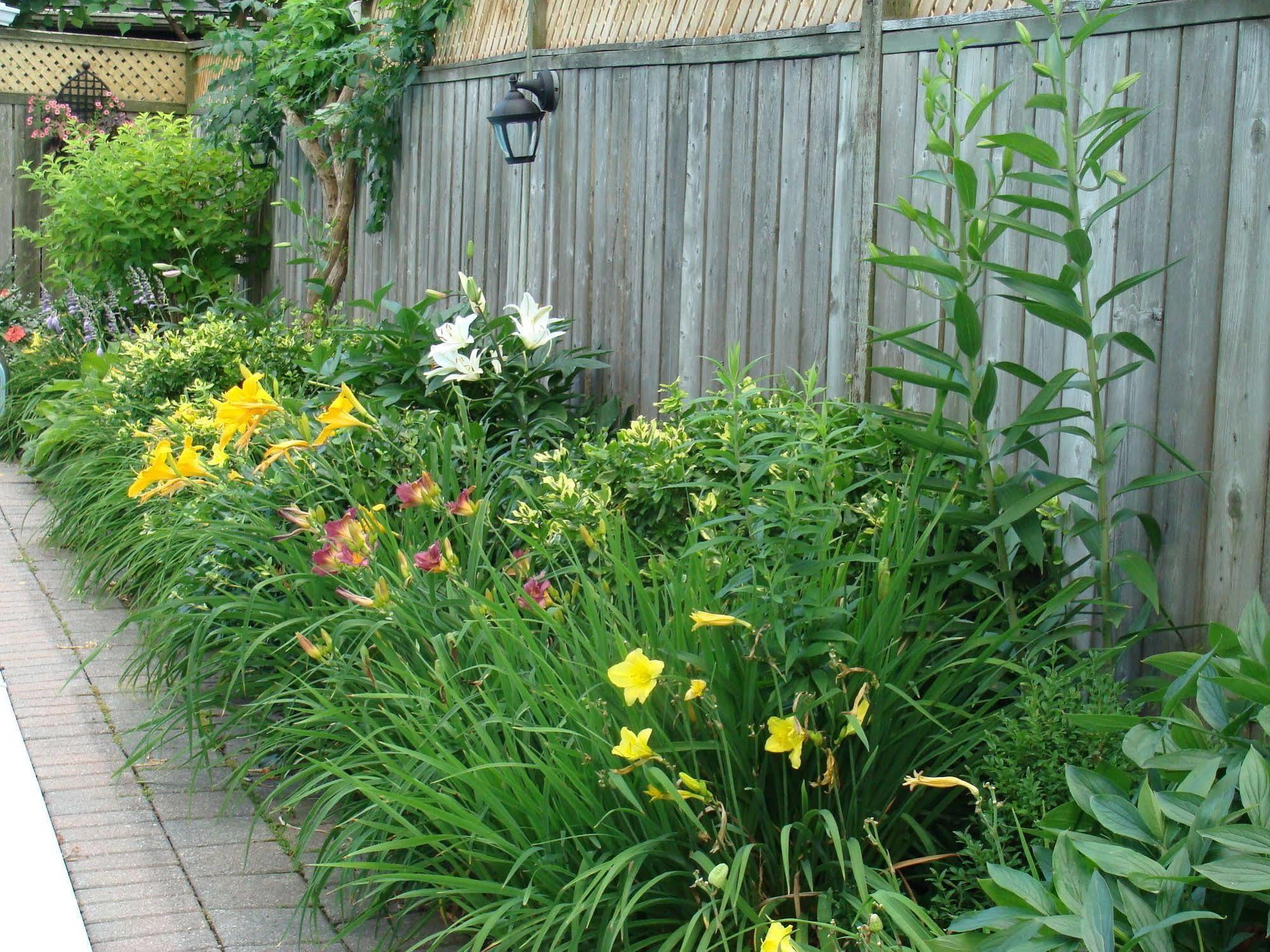 Robinsong Bed & Breakfast Thorold Bagian luar foto